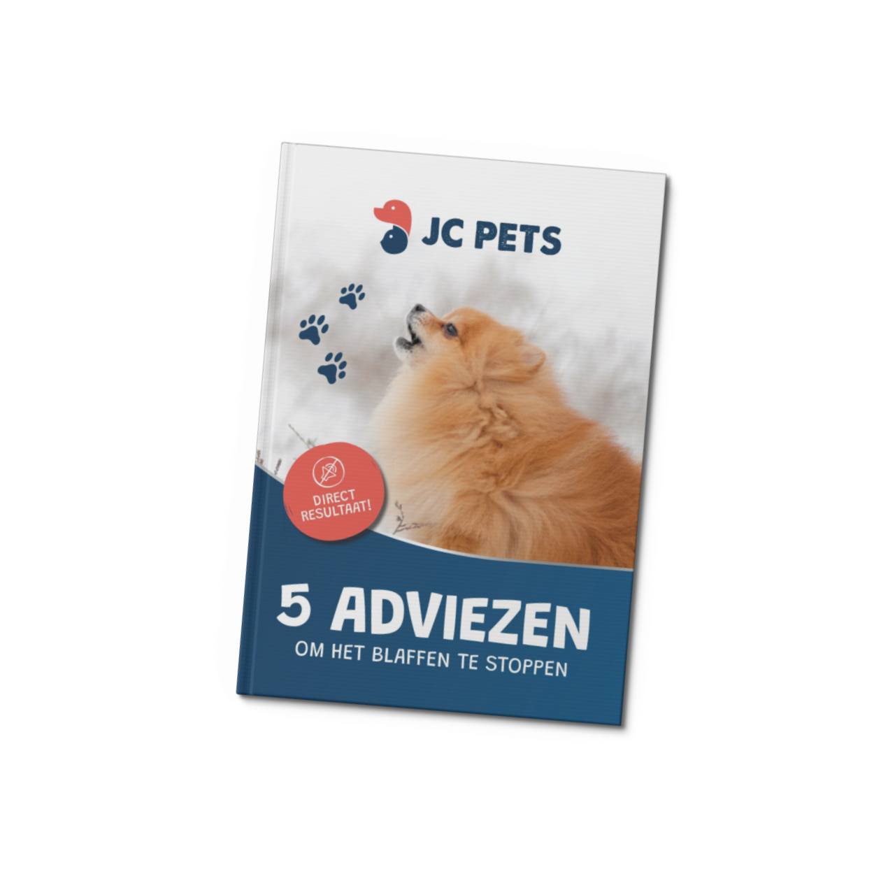E-book Anti Blaffen