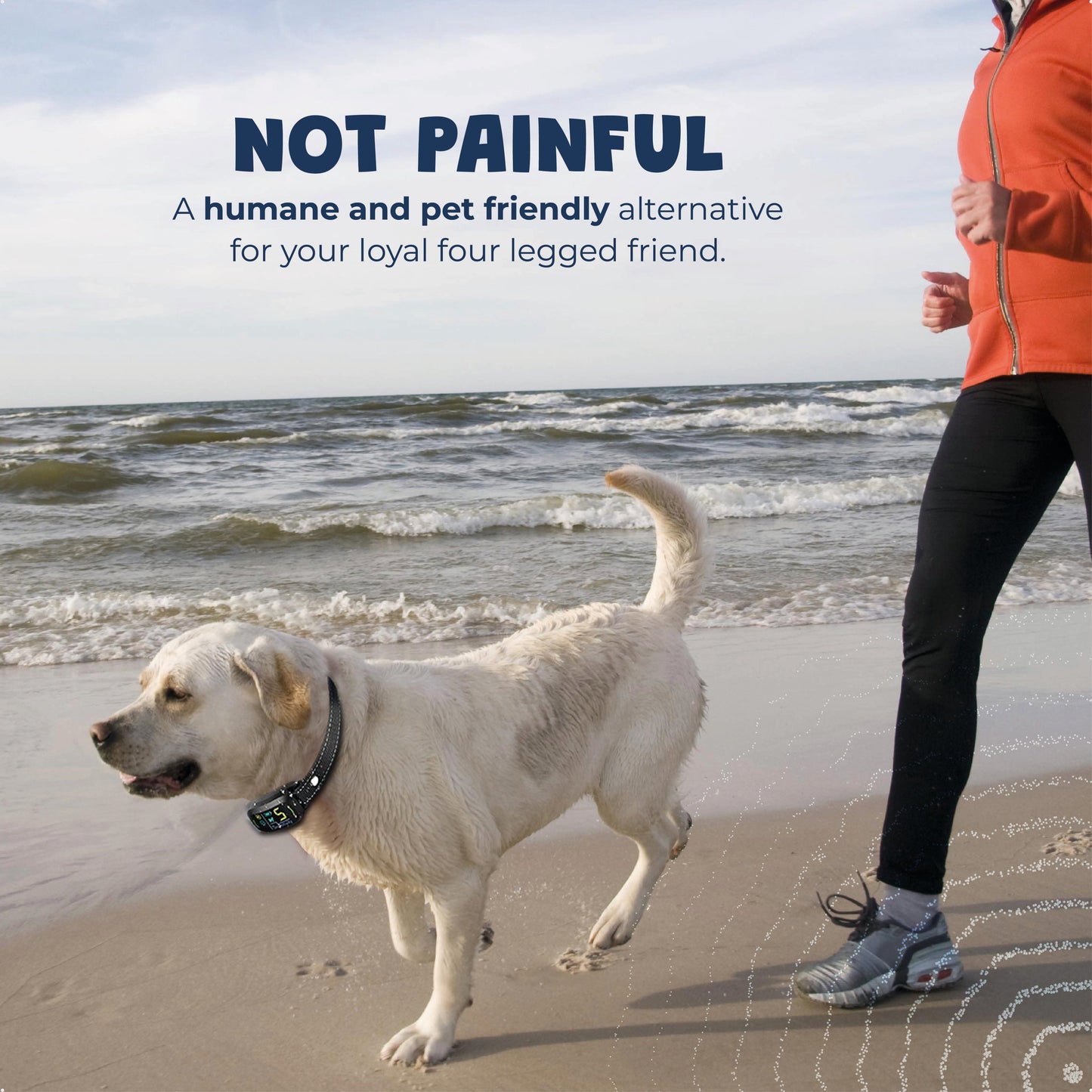 Animal-Friendly Anti-Bark Collar Max