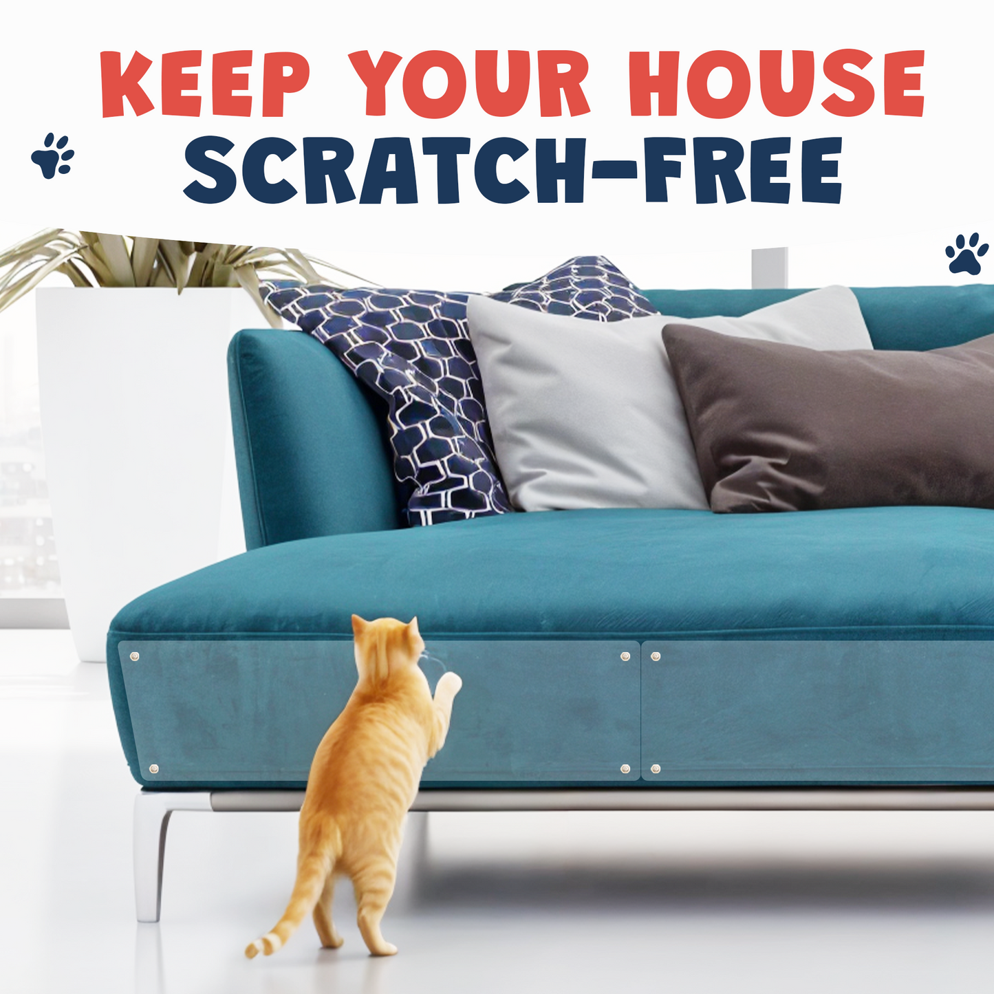 Anti-scratch sheets