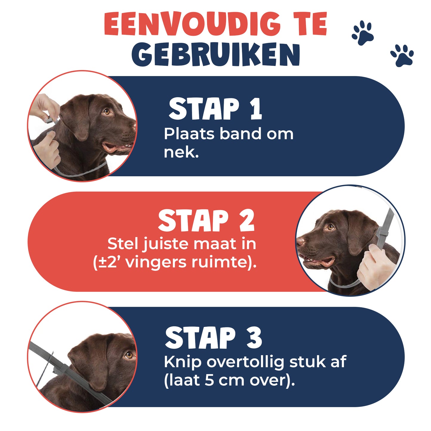 Vlooienband hond