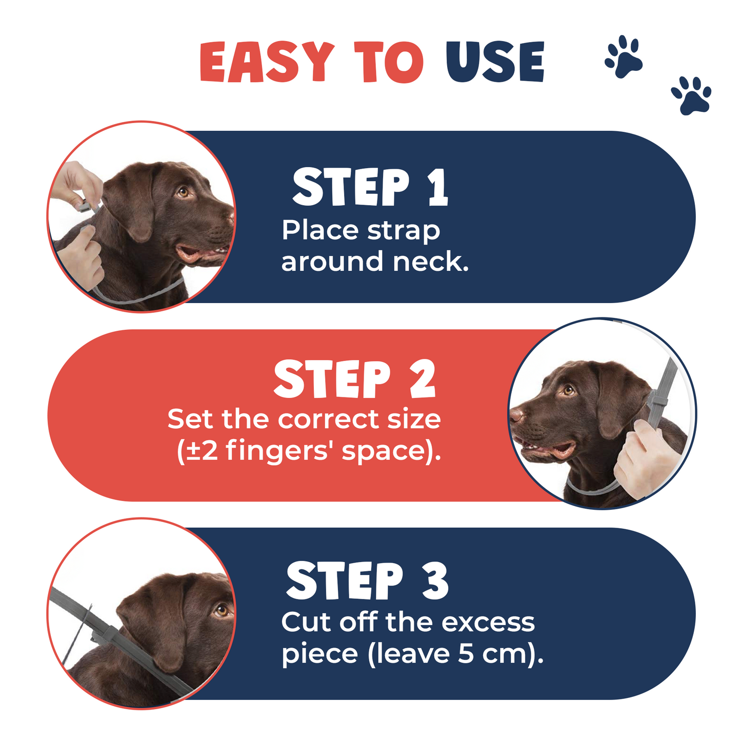 Flea collar dog