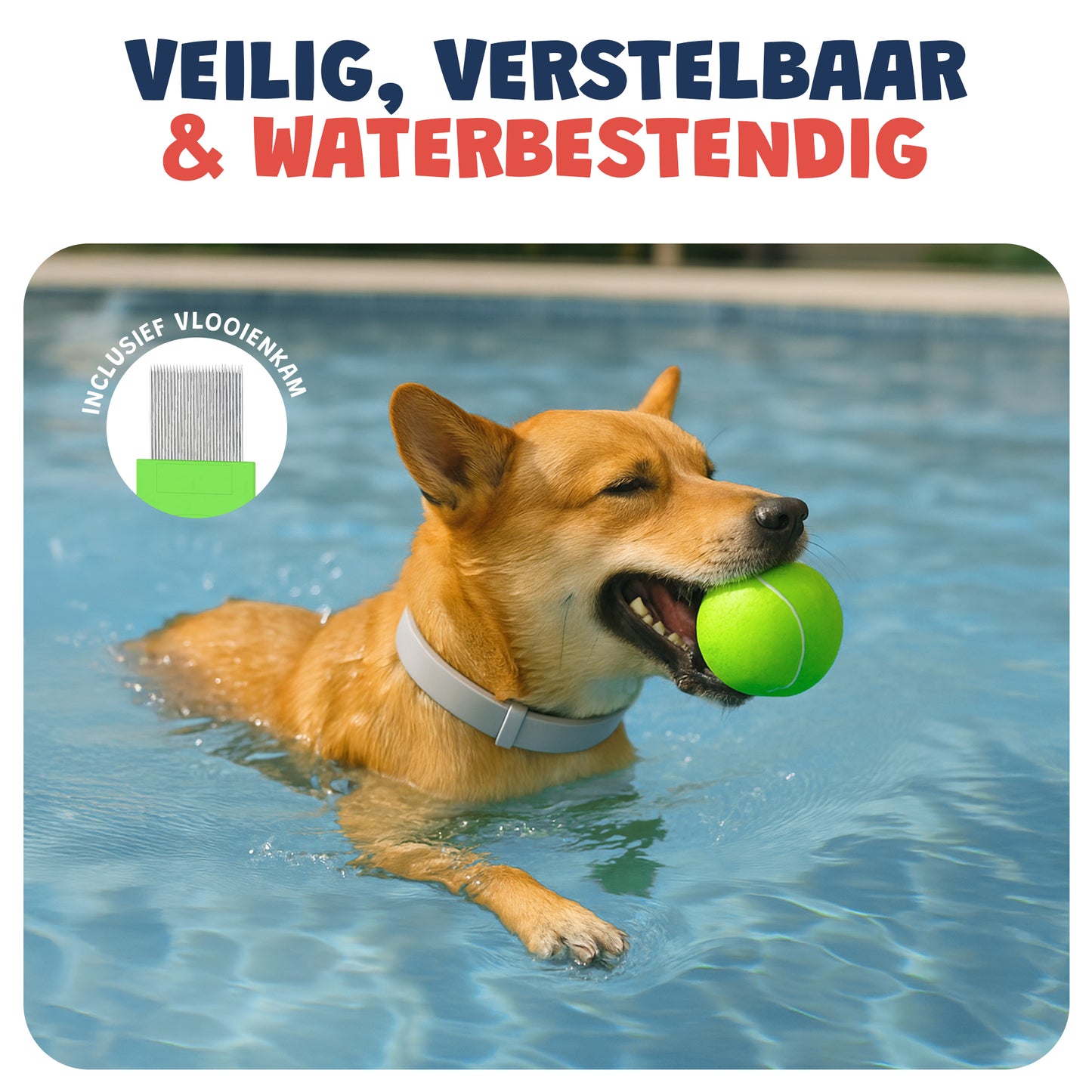 Vlooienband hond