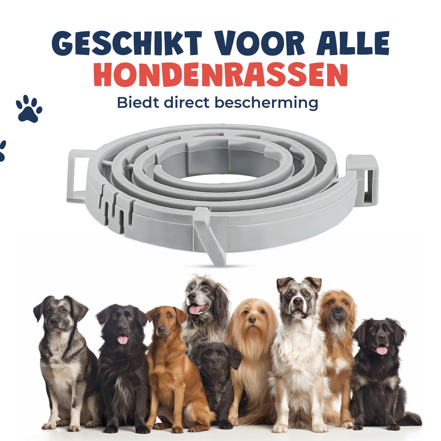 Vlooienband hond