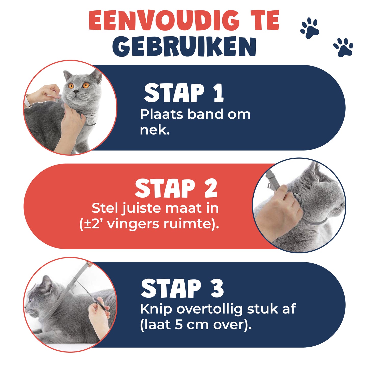Vlooienband kat