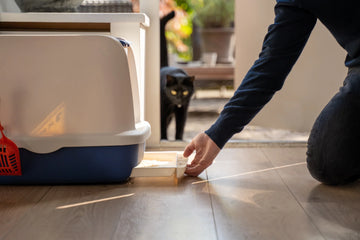 Als katten konden kiezen, dan wisten ze het wel! De zelfreinigende kattenbak van JC Pets gaat 9 kattenlevens mee!