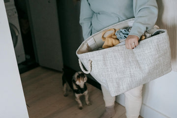hoe verlatingsangst hond oplossen