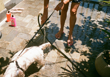 hond wassen