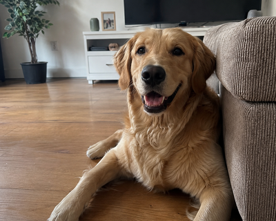 Veel minder onrust in huis