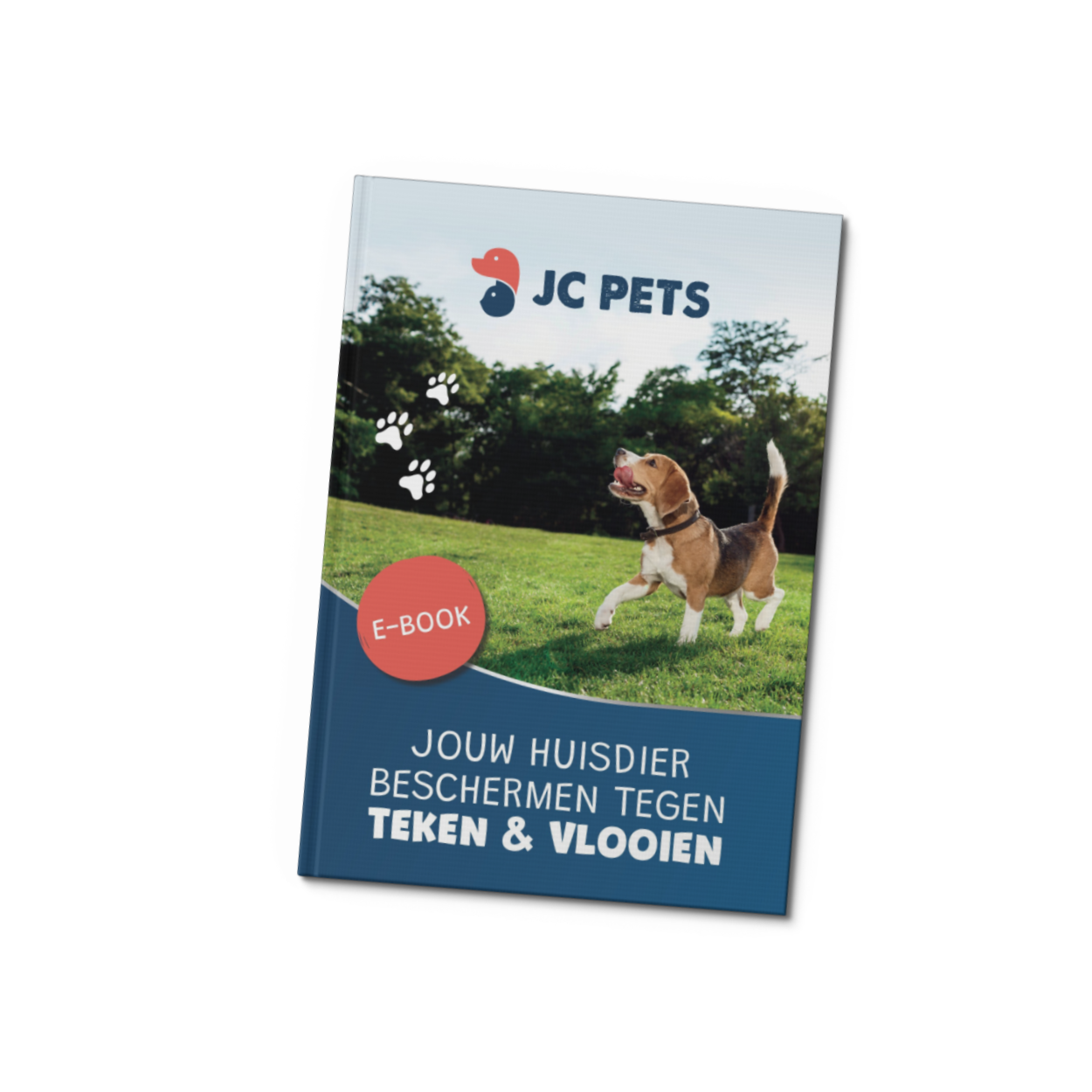 E-book Teken & Vlooien