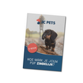 E-book Zindelijkheid