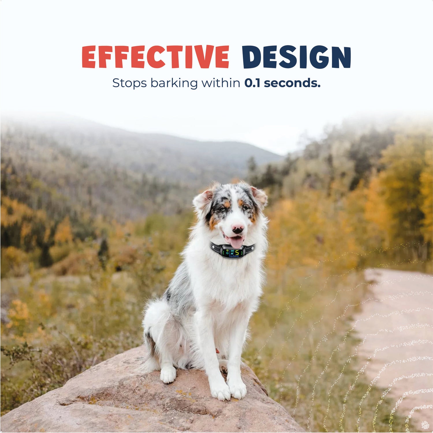 Animal-Friendly Anti-Bark Collar Max
