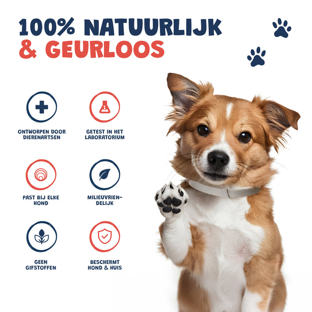 Vlooienband hond