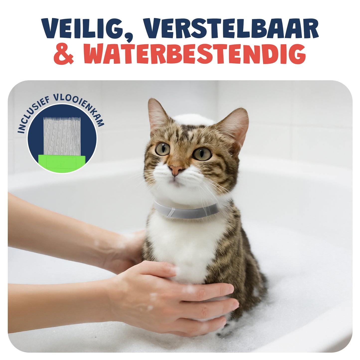 Vlooienband kat