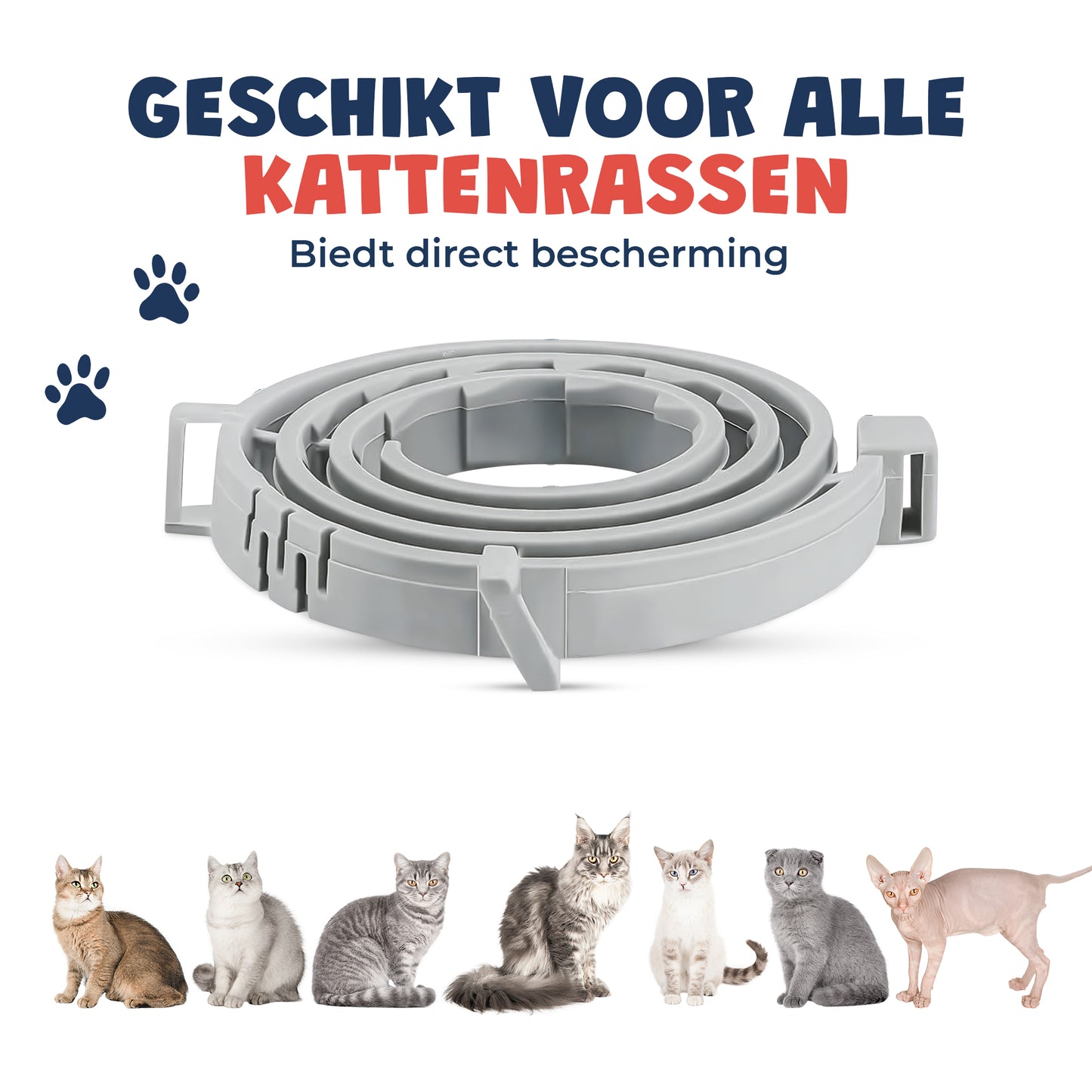 Vlooienband kat