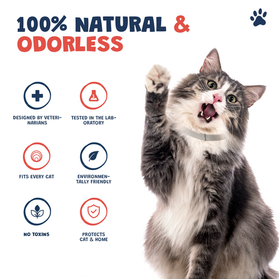 Flea collar for cats