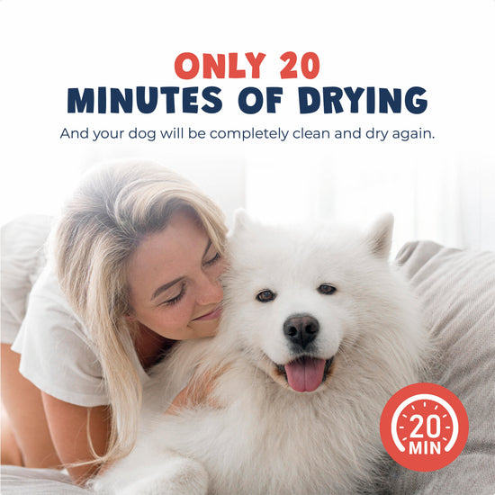Dog Dryer