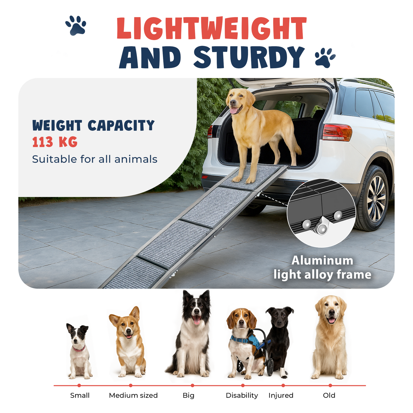 Dog Ramp for Car