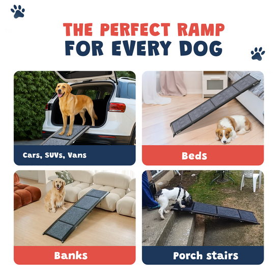 Dog Ramp for Car