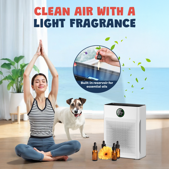 Air Purifier with Pet Mode