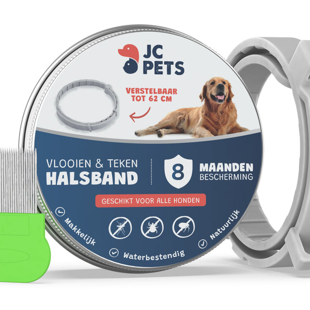Vlooienband hond